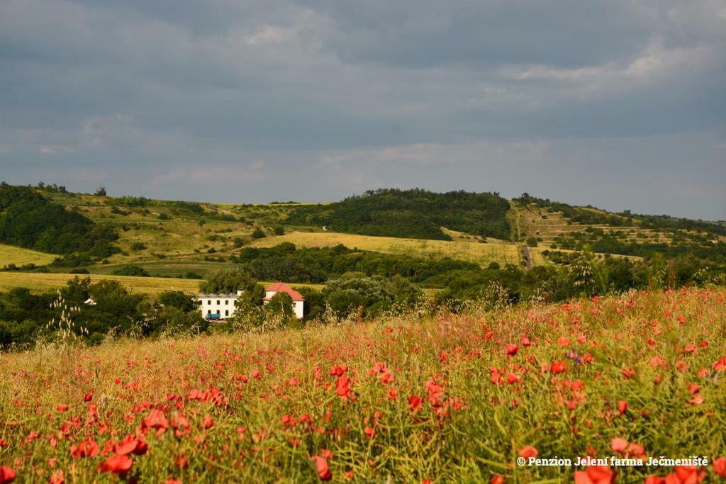 Jeleni Farma Jecmeniste Hotel Vrbovec Esterno foto
